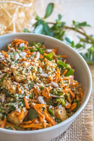 Salade asiatique de pourpier, carotte et tempeh