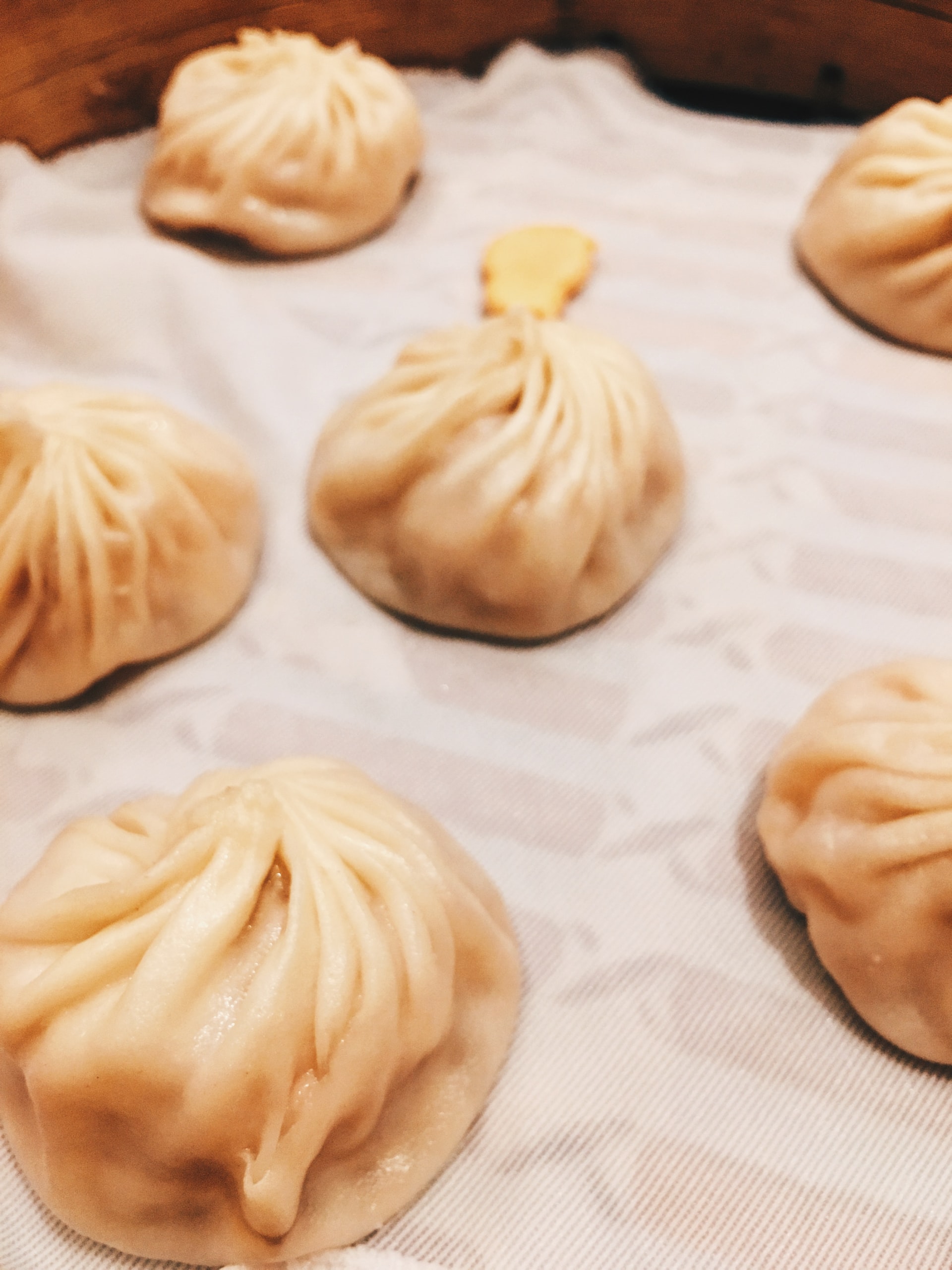 Les meilleures recettes de pâtes farcies véganes